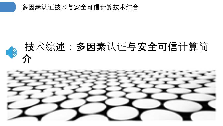 多因素认证技术与安全可信计算技术结合_第3页