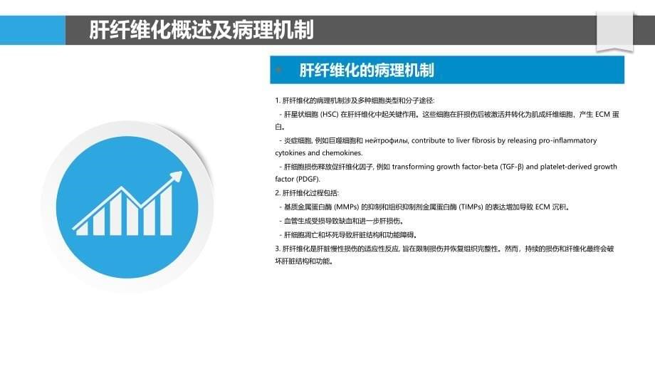 脾氨肽在肝纤维化中的保护作用_第5页