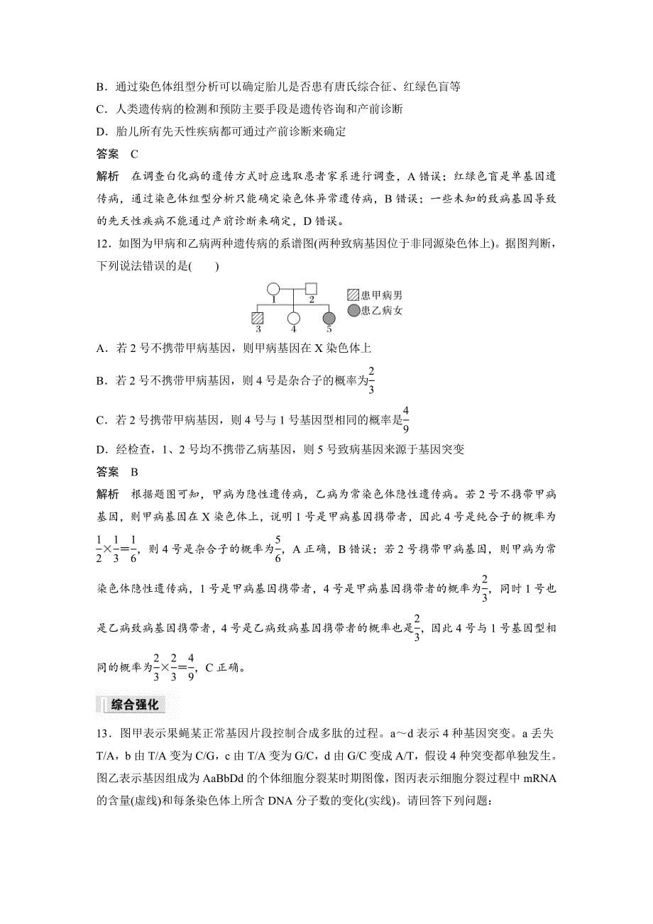 2024年高中生物新教材同步学案 必修第二册 第5章　重点突破练(五)（含解析）_第5页