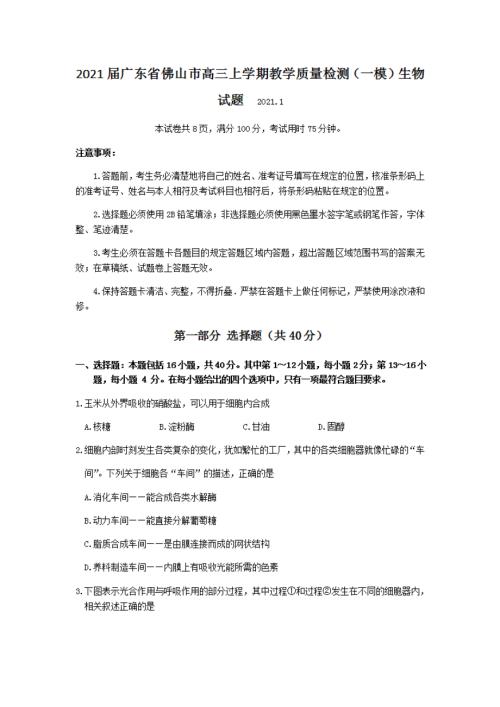 【联盟】2020-2021学年广东省佛山市高三上学期教学质量检测（一模）生物试题