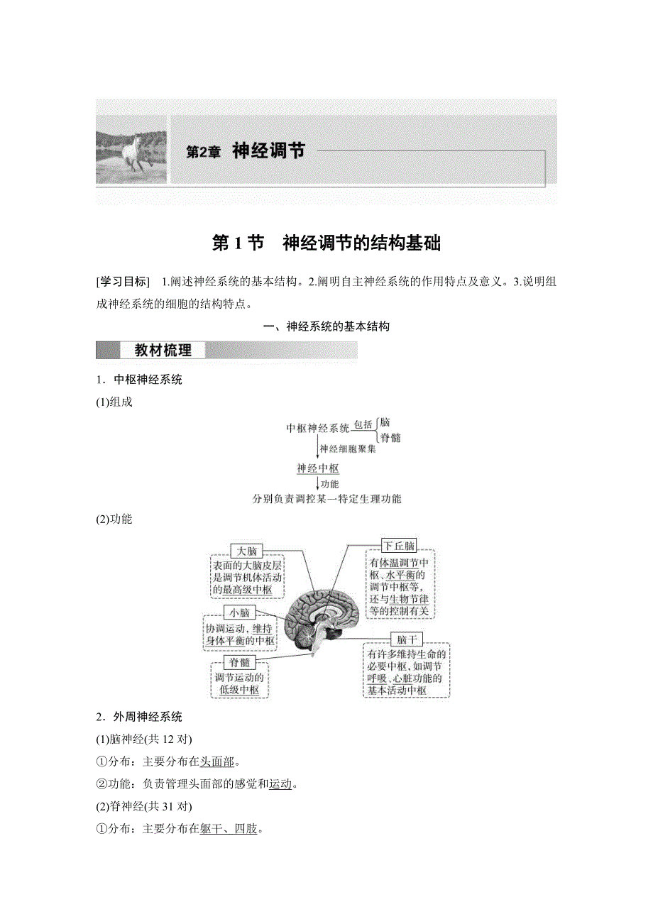 2024年高中生物新教材同步学案 选择性必修第一册 第2章 第1节　神经调节的结构基础（含解析）_第1页