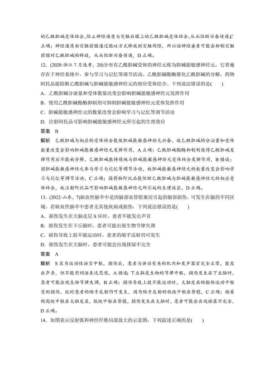 2024年高中生物新教材同步学案 选择性必修第一册 第2章 章末检测试卷(二)（含解析）_第5页