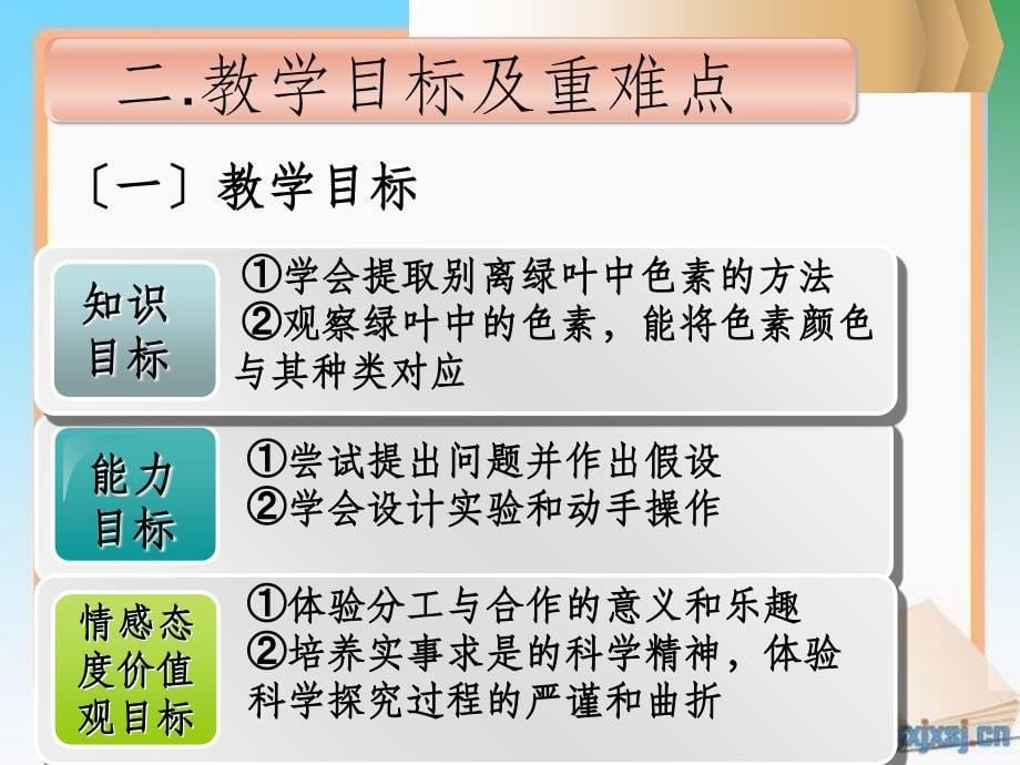 探究叶片中的色素_第5页