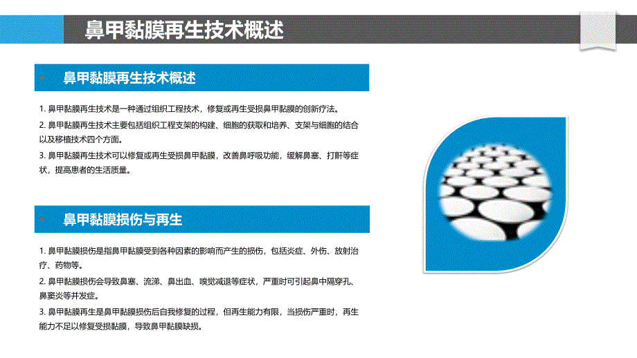 鼻甲黏膜再生技术知识产权保护研究_第4页