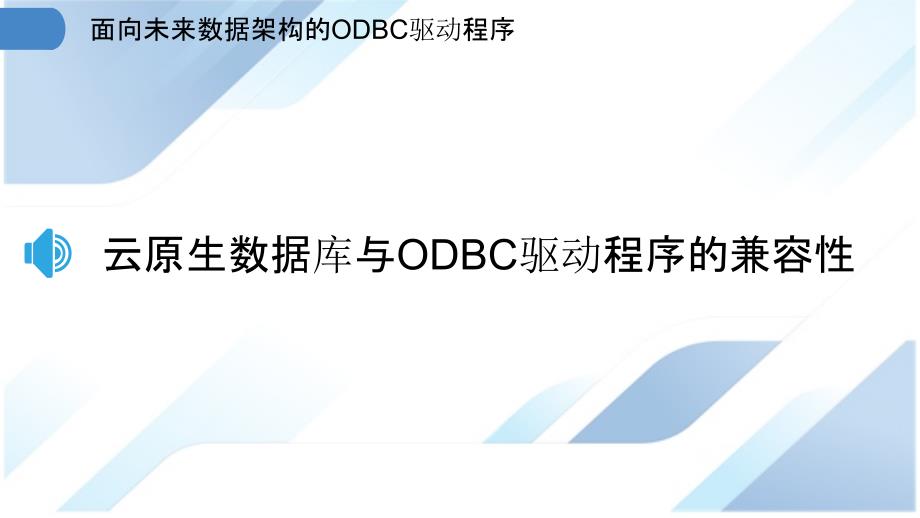 面向未来数据架构的ODBC驱动程序_第3页