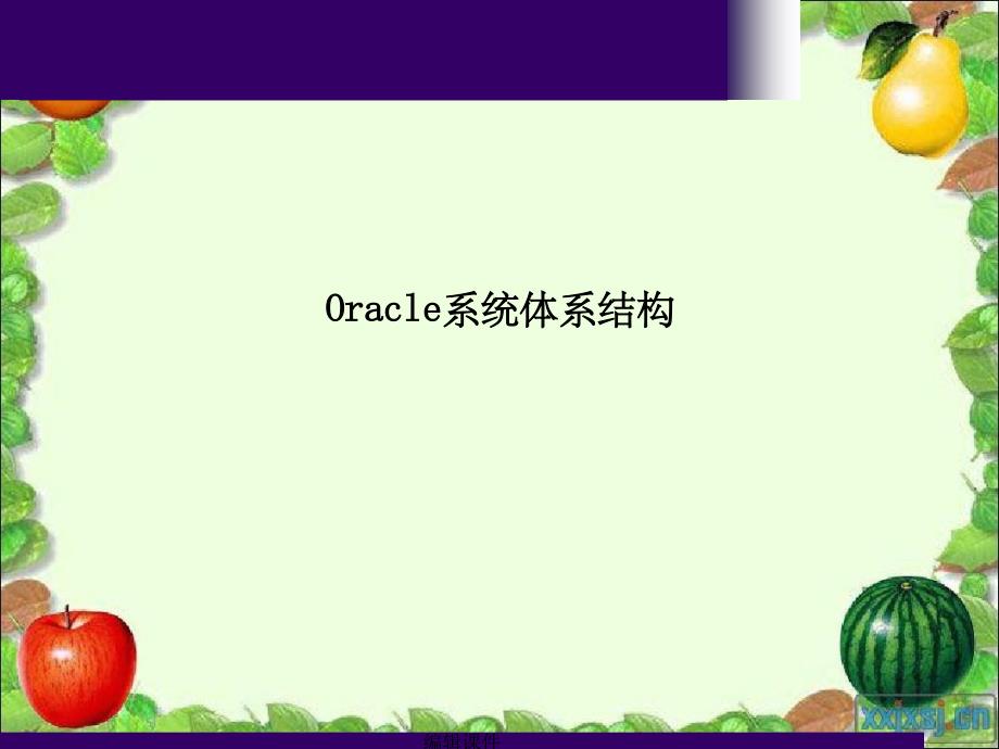 Oracle内部培训讲义1体系架构_第2页