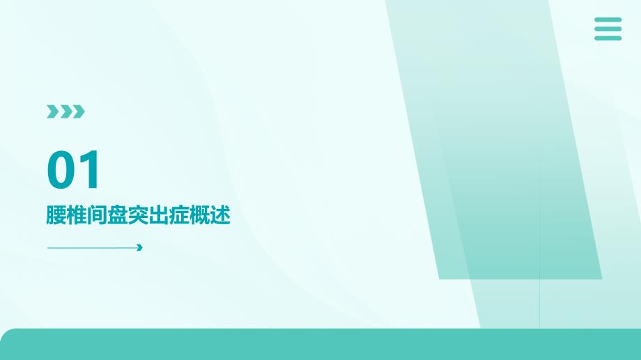 腰椎间盘突出症的诊断、鉴别诊断与分型课件PPT_第3页