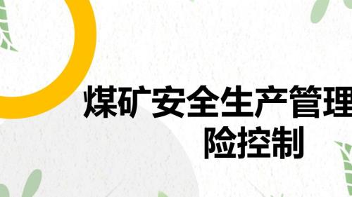 煤矿安全生产管理与风险控制