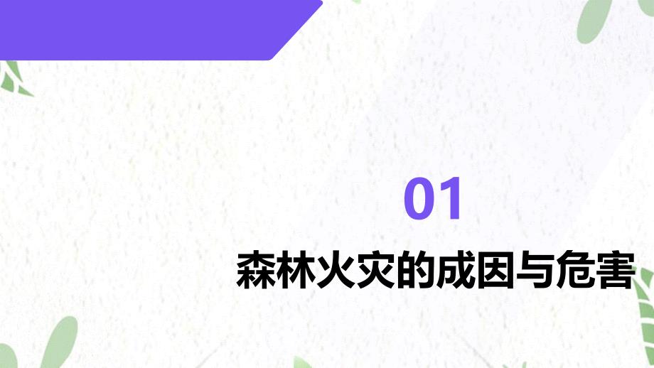 森林火灾防控与应急救援措施_第3页