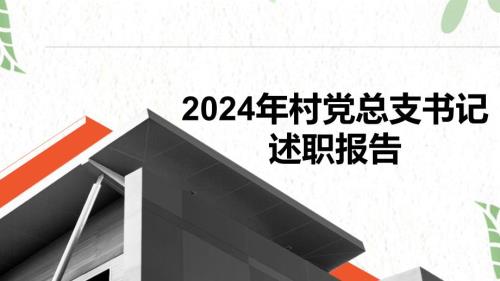 2024年村党总支书记述职报告