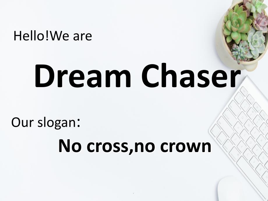 DreamChaser团队介绍资料_第1页