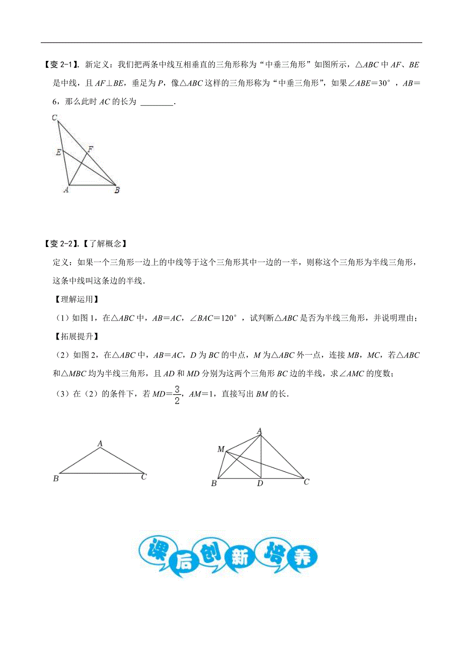 中考数学二轮重难点复习讲义专题72 三角形中的新定义问题（原卷版）_第3页