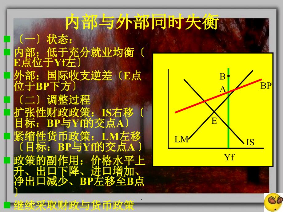 高鸿业的宏观经济学课件第四节开放条件下的经济调整政策_第4页