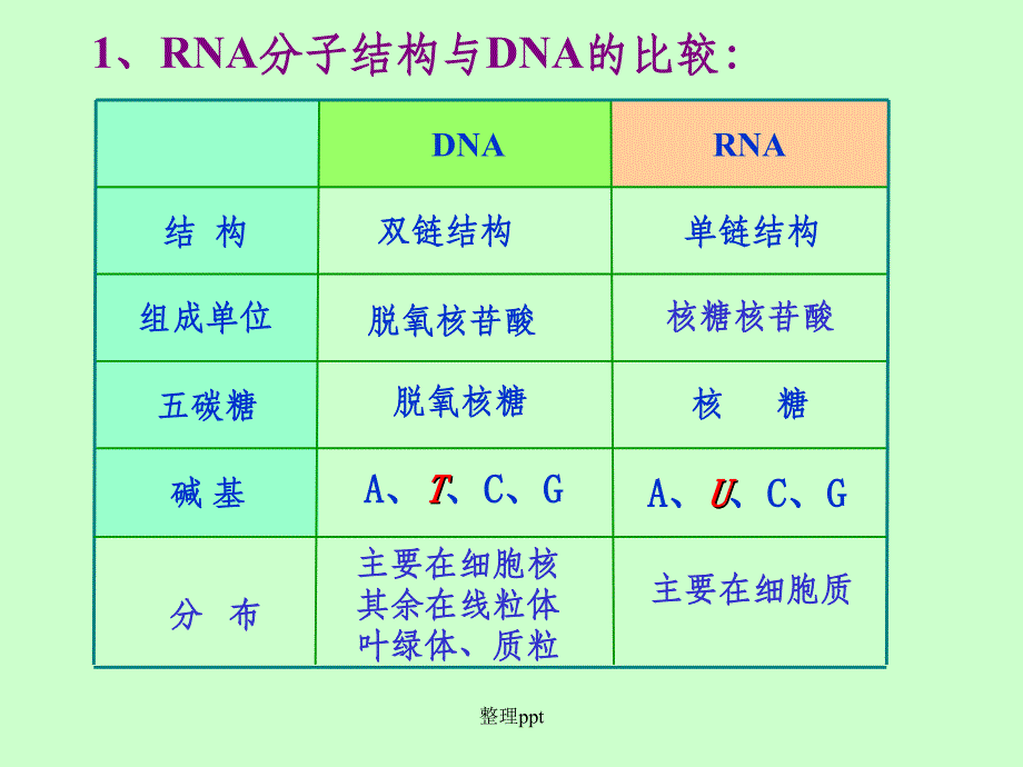 基因的表达复习(1)_第4页
