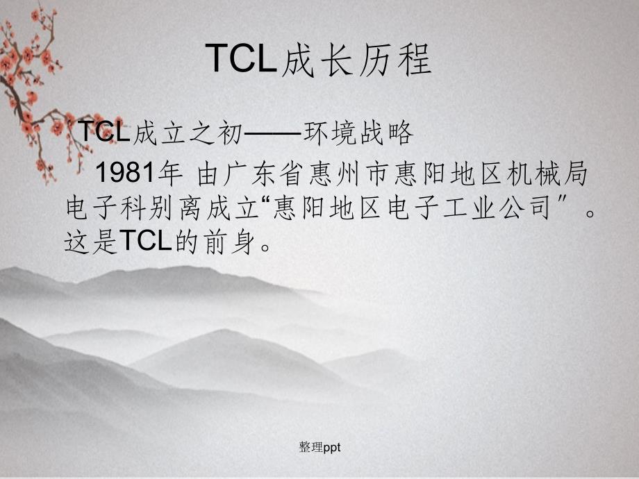 跨国公司战略——TCL_第3页