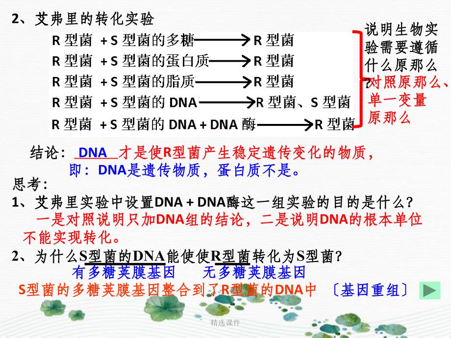 届高三第一轮复习之DNA是主要的遗传物质_第3页