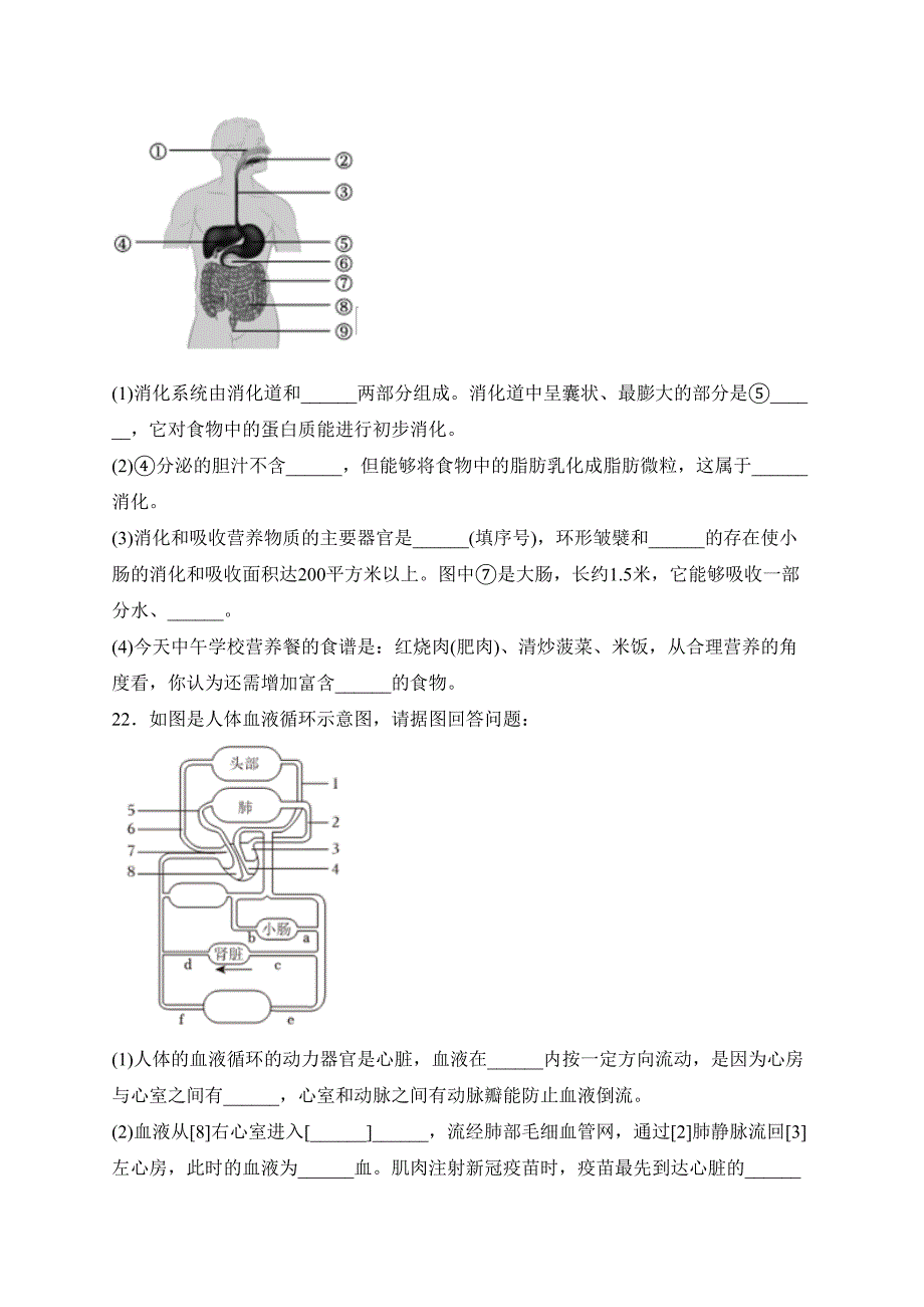 山东省枣庄市峄城区2022-2023学年七年级下学期期中考试生物试卷(含答案)_第4页