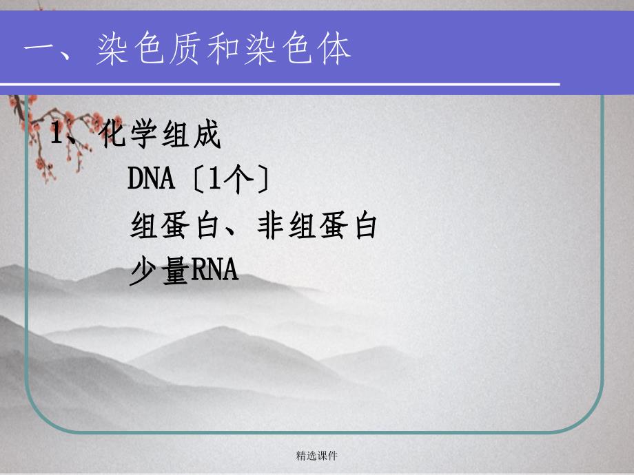 染色体、DNA和基因遗传结构的基础_第3页