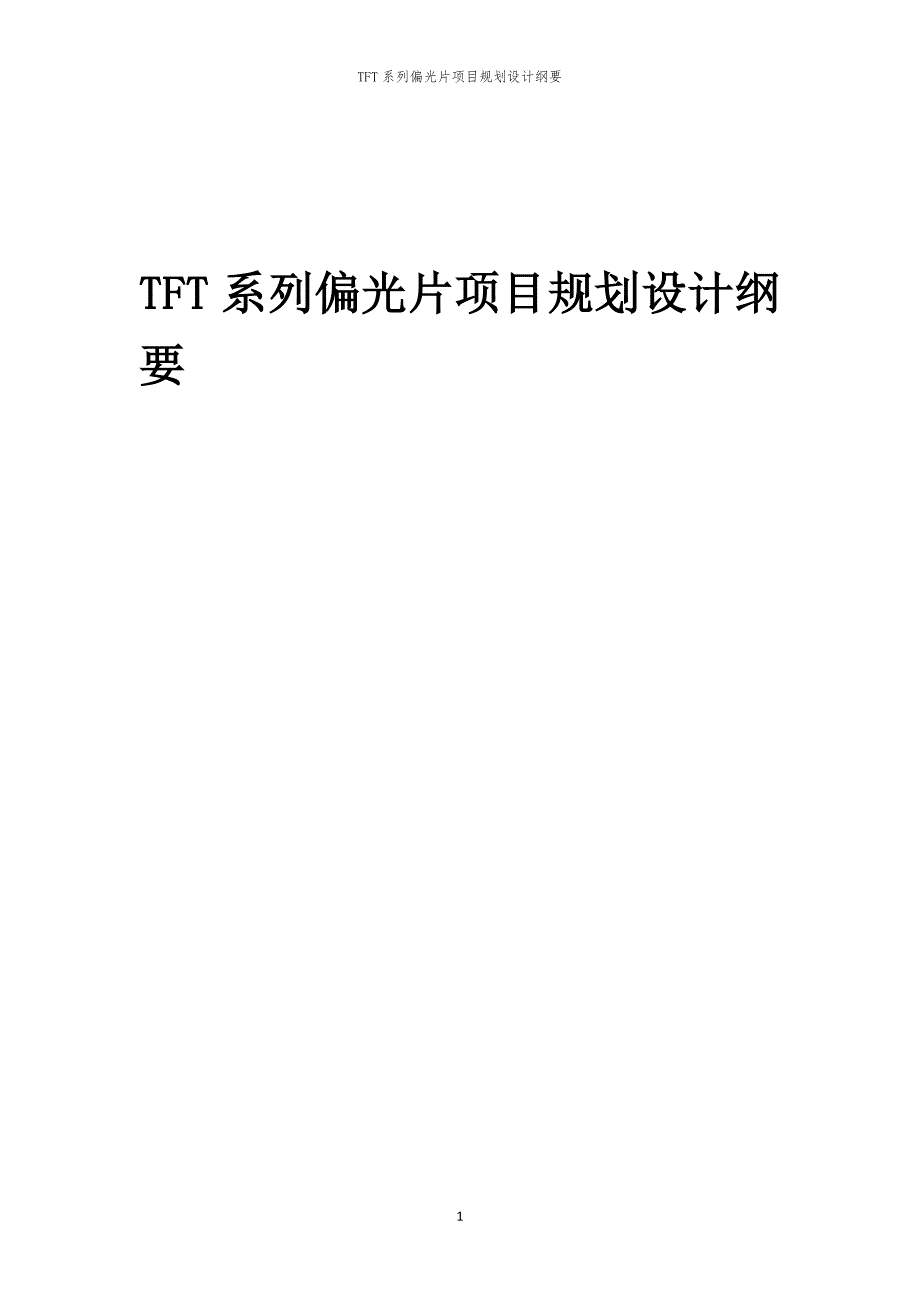 2024年TFT系列偏光片项目规划设计纲要_第1页