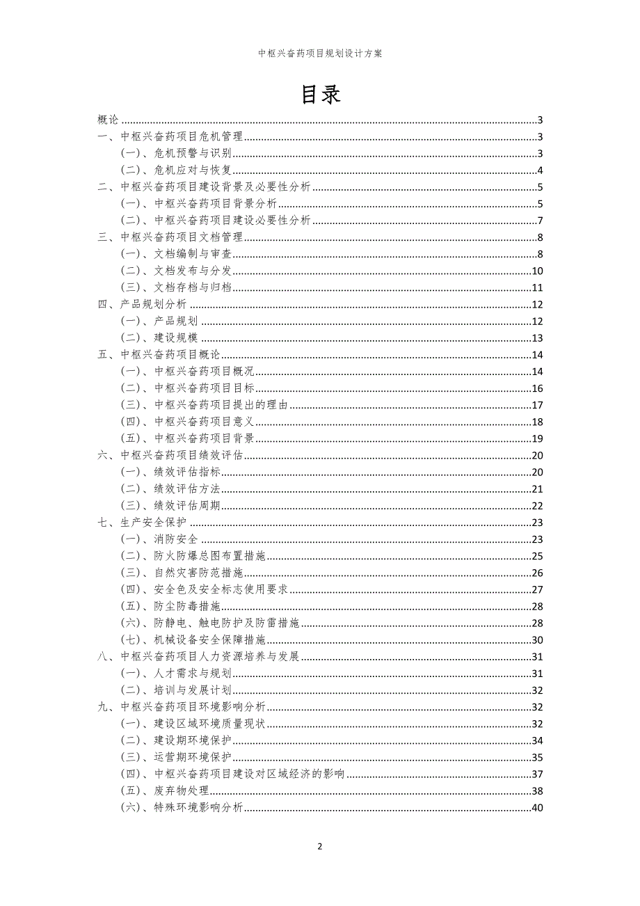 2024年中枢兴奋药项目规划设计方案_第2页