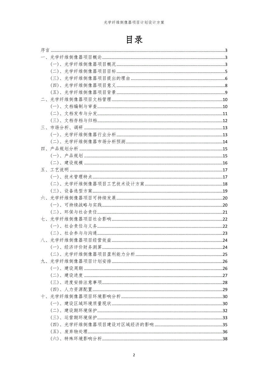2024年光学纤维倒像器项目计划设计方案_第2页