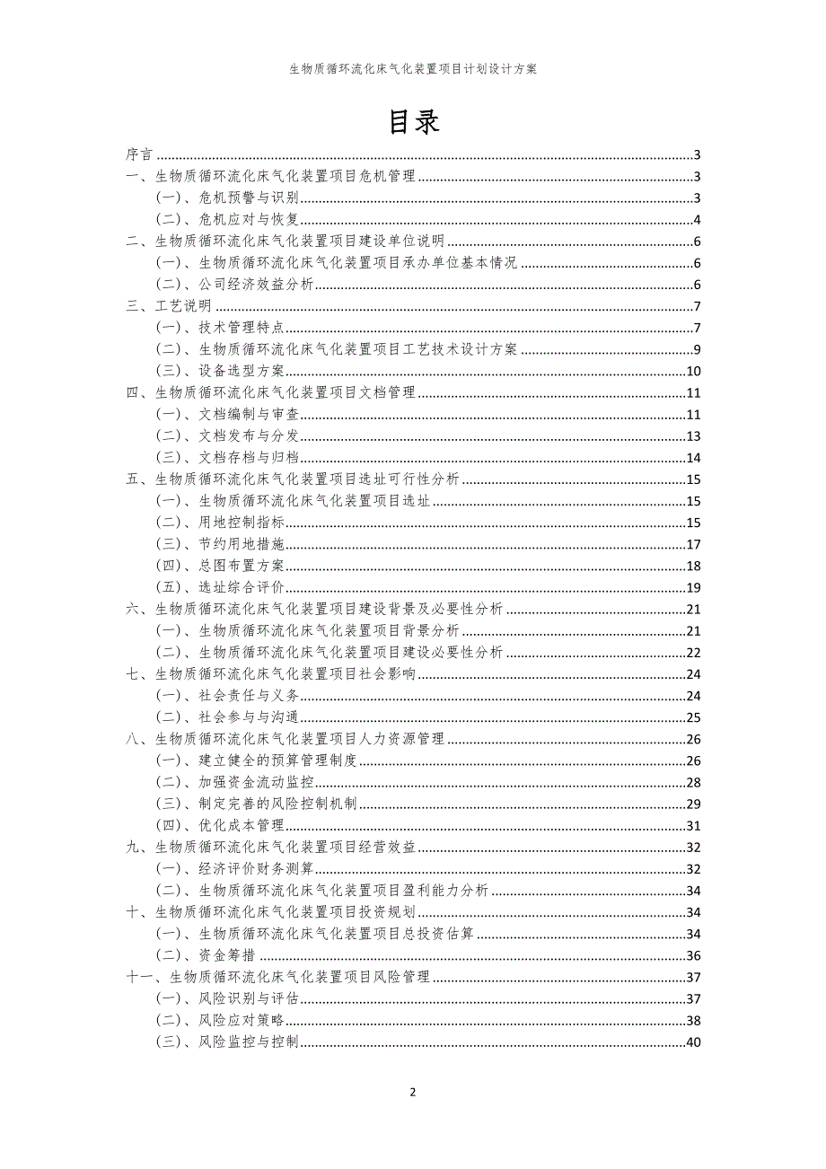 2024年生物质循环流化床气化装置项目计划设计方案_第2页