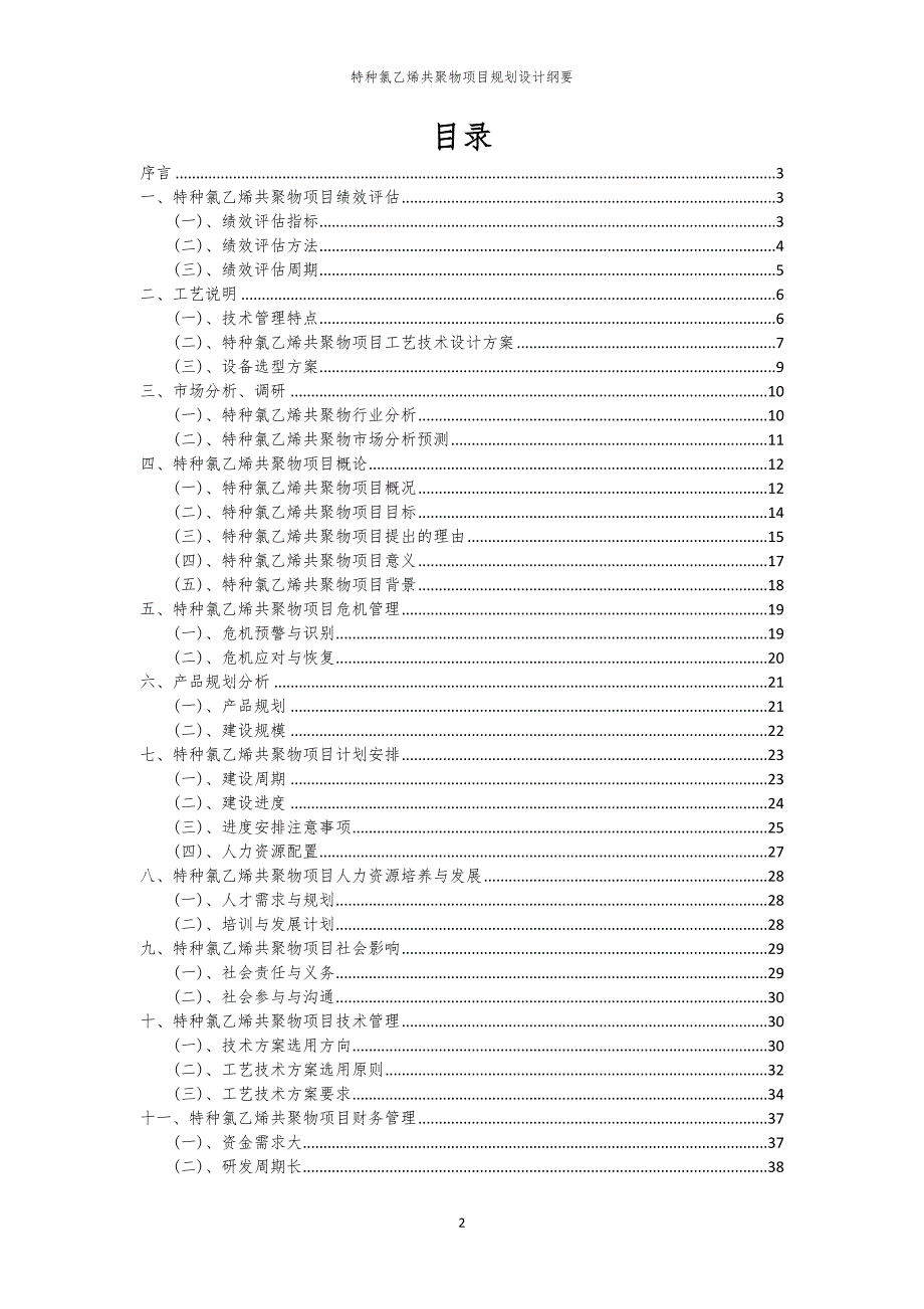 2024年特种氯乙烯共聚物项目规划设计纲要_第2页