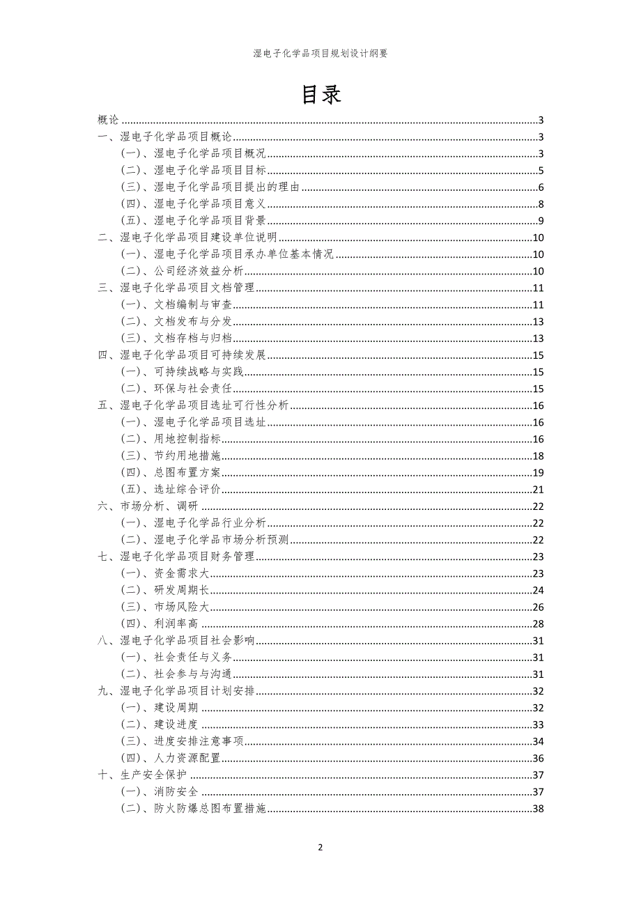 2024年湿电子化学品项目规划设计纲要_第2页