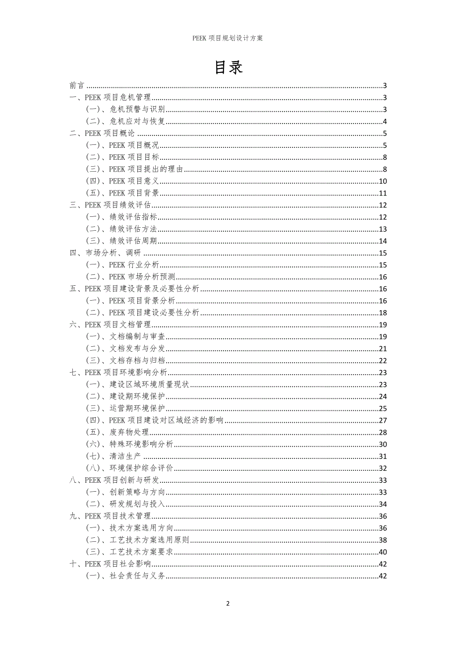 2024年PEEK项目规划设计方案_第2页