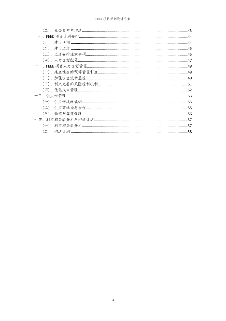 2024年PEEK项目规划设计方案_第3页
