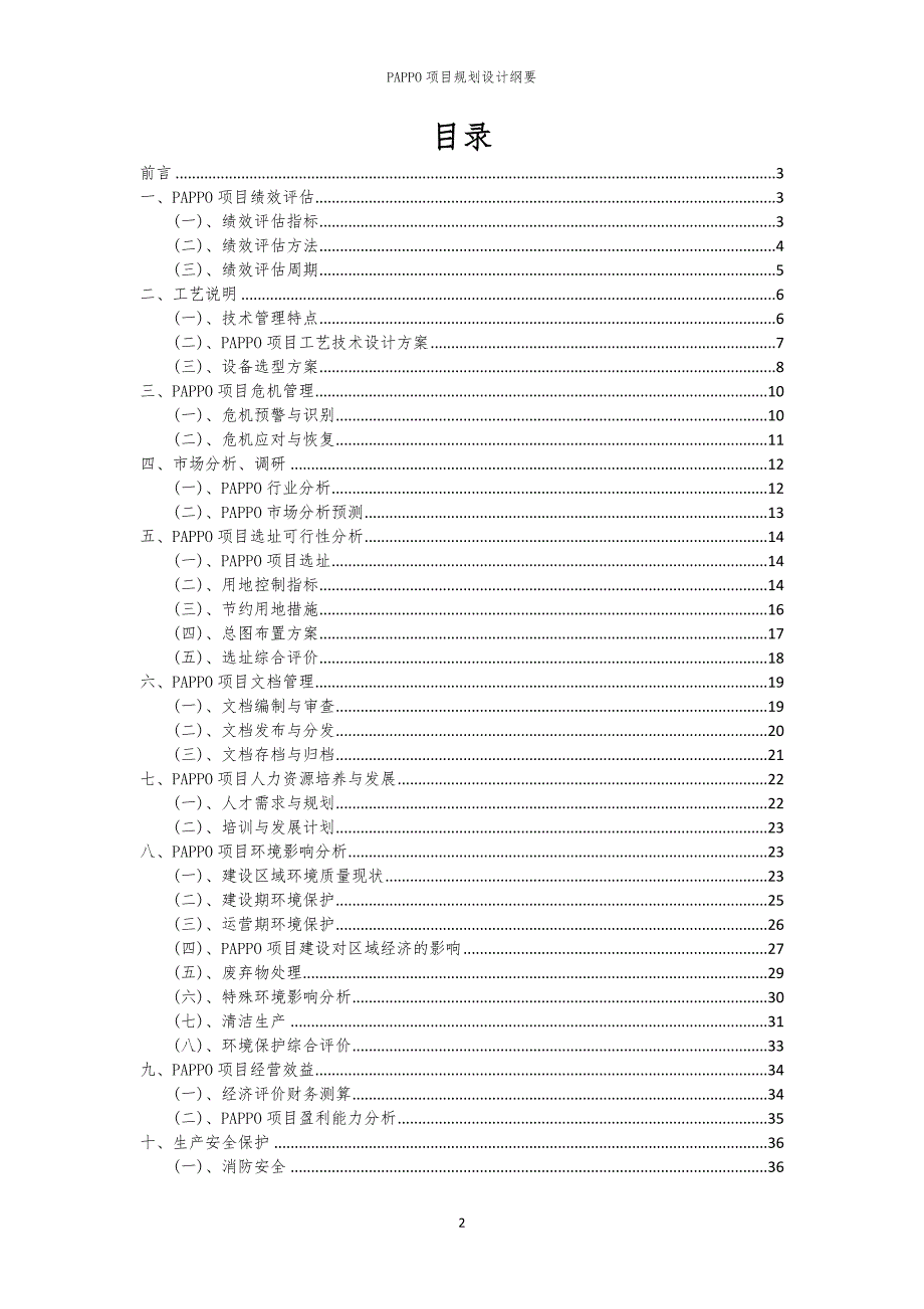 2024年PAPPO项目规划设计纲要_第2页