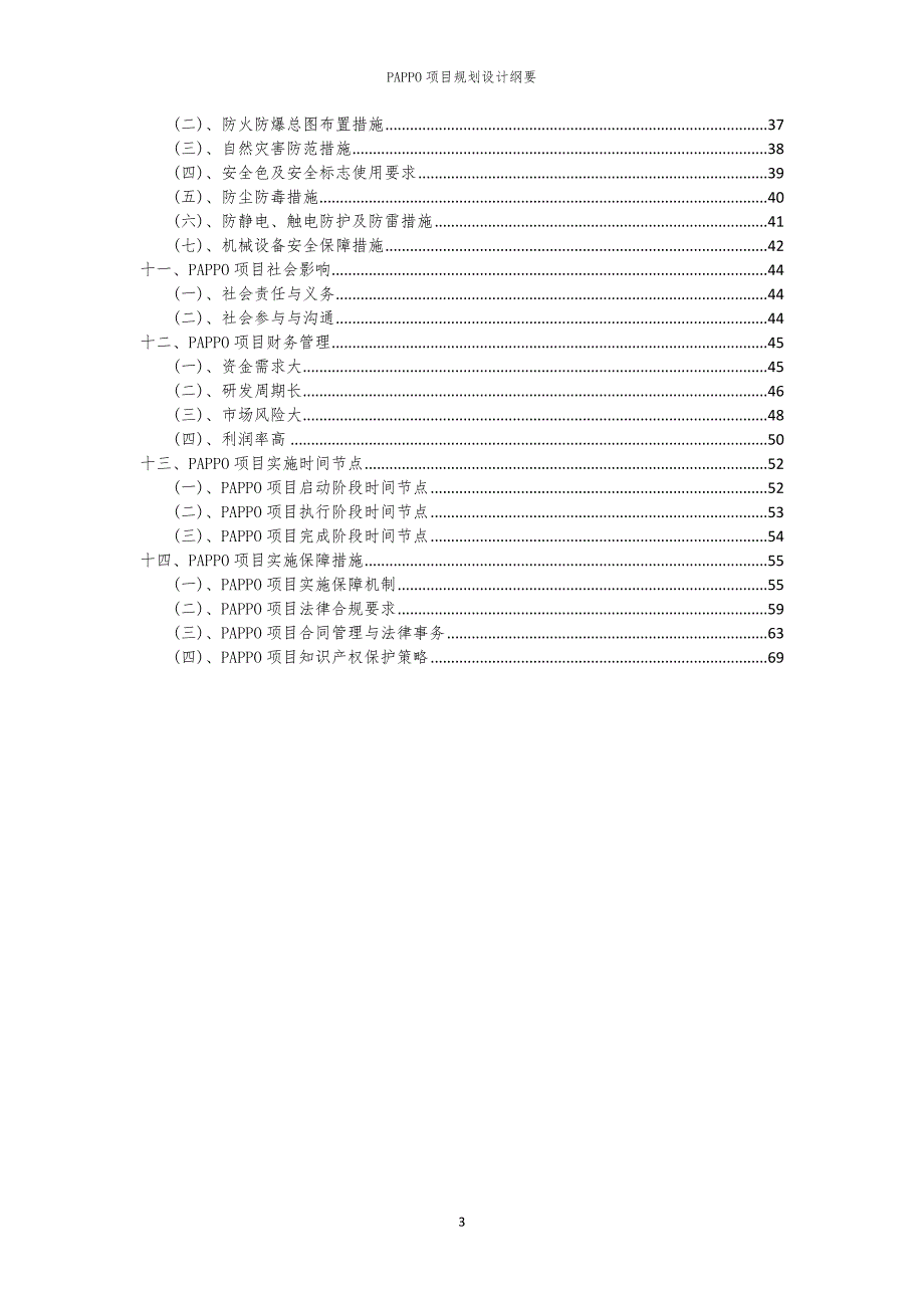 2024年PAPPO项目规划设计纲要_第3页