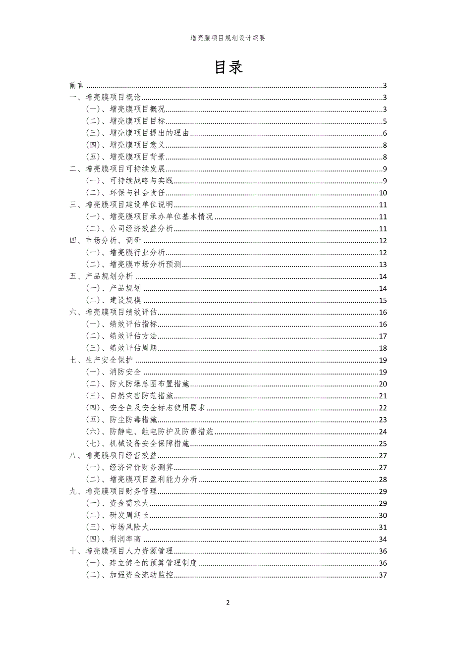 2024年增亮膜项目规划设计纲要_第2页