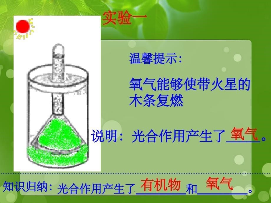 吉林省长春市七年级生物上册 第三单元 第五章《绿色植物与生物圈中的碳氧平衡》新人教版_第5页