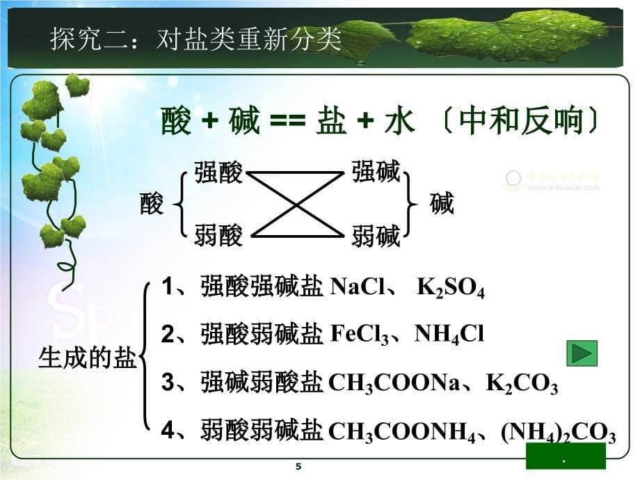 选修四化学盐类的水解大赛一等奖_第5页