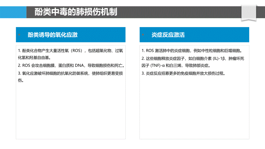 酚类中毒的肺部炎症与纤维化_第4页