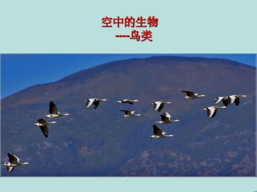 江苏省七年级生物下册12.1空中的生物_鸟类新版苏科版
