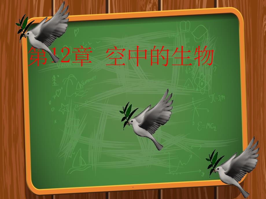江苏省如皋市七年级生物下册 12.1 鸟类（新版）苏科版_第1页