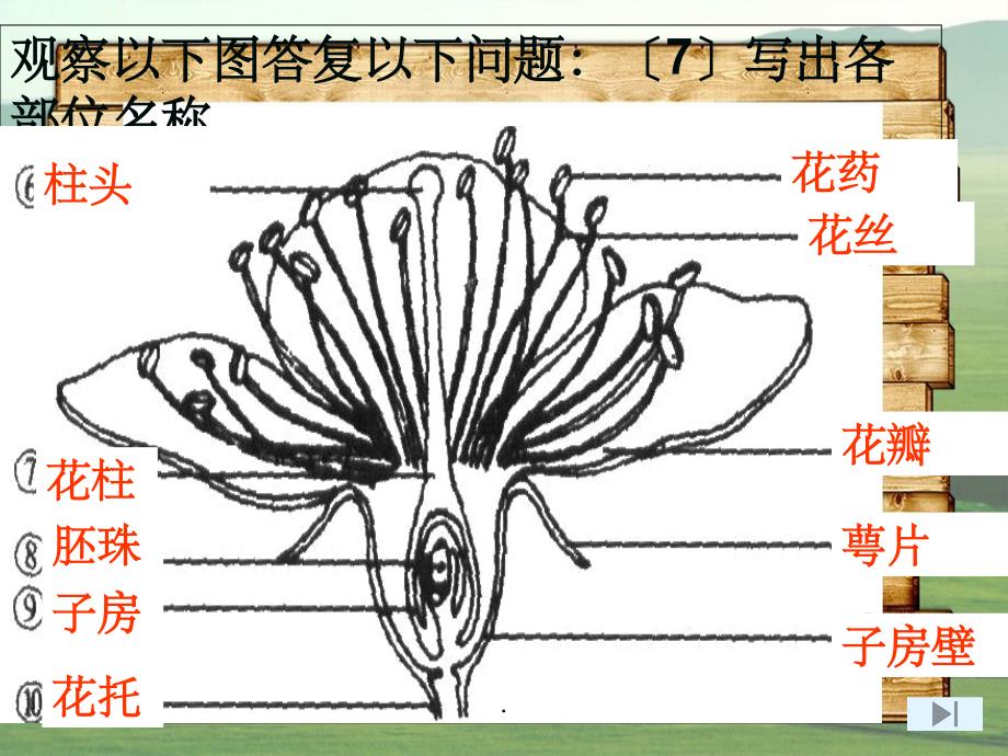 江苏省七年级生物下册 11.2地面上的动物（新版）苏科版_第2页