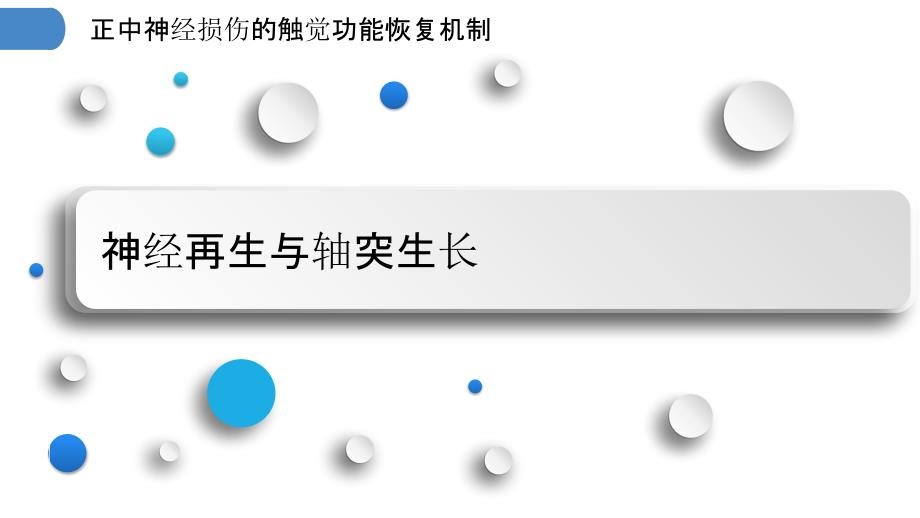 正中神经损伤的触觉功能恢复机制_第3页