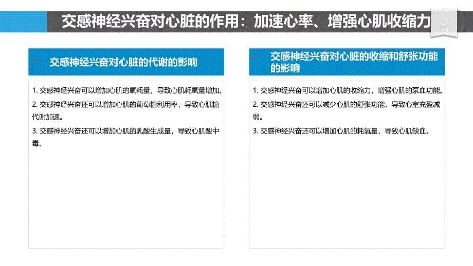 交感神经在心脏和血管系统中的作用_第5页