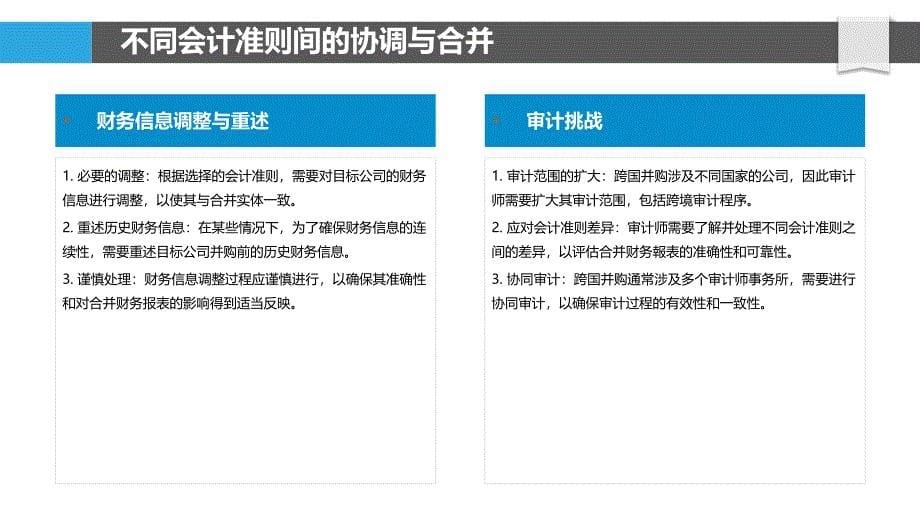 跨国并购中的会计和审计挑战_第5页