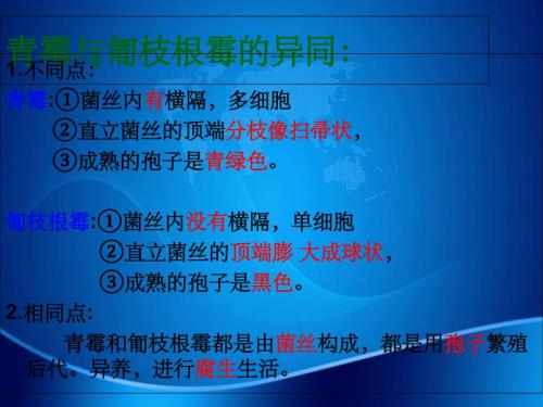 江苏省七年级生物下册14.1生物的命名和分类新版苏科版
