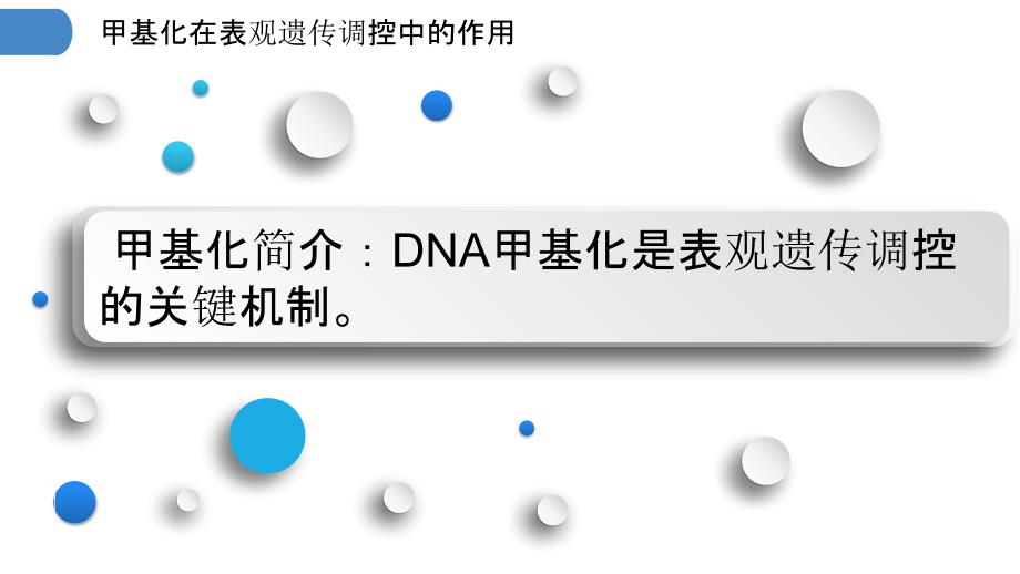 甲基化在表观遗传调控中的作用_第3页