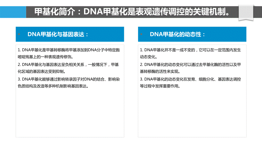 甲基化在表观遗传调控中的作用_第4页