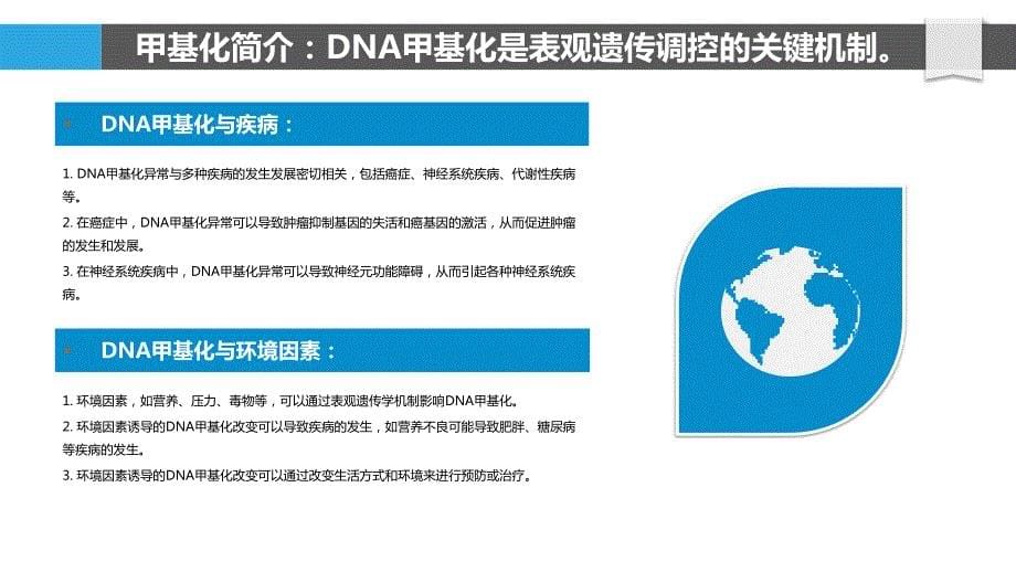 甲基化在表观遗传调控中的作用_第5页