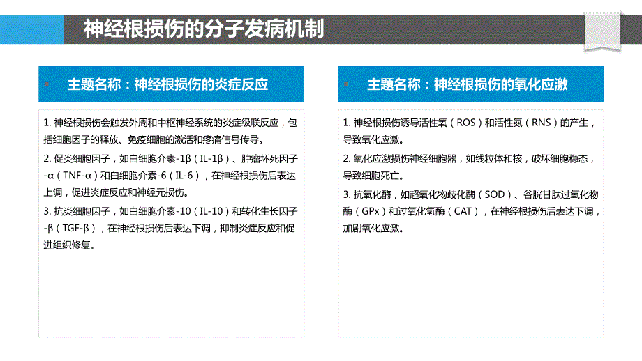 神经根损伤的分子标记物探索_第4页