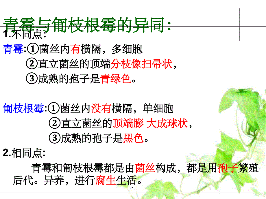 江苏省七年级生物下册 14.1生物的命名和分类（新版）苏科版_第1页
