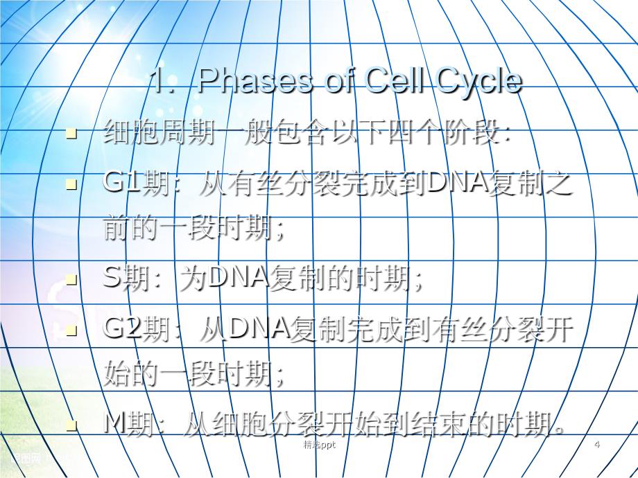 分子生物学细胞周期_第4页