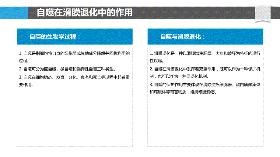 滑膜退化中的自噬和细胞凋亡机制_第4页